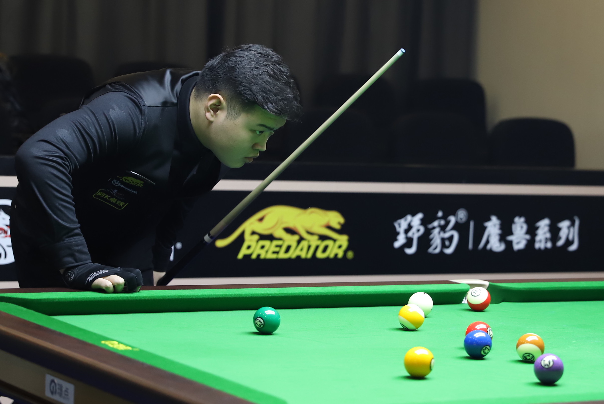 菲尔米诺在 菲尔米诺在