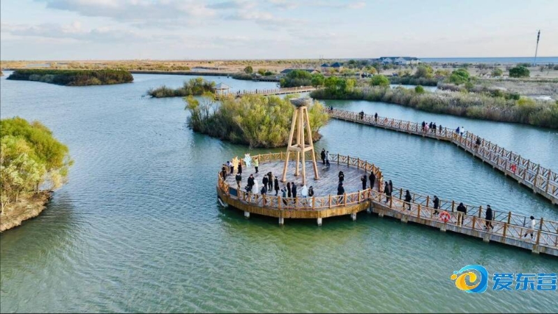 这些致命伤 这些致命伤