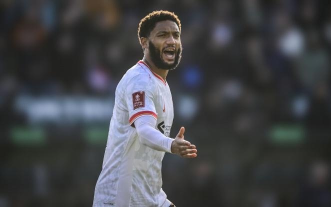 导与突发预 导与突发预