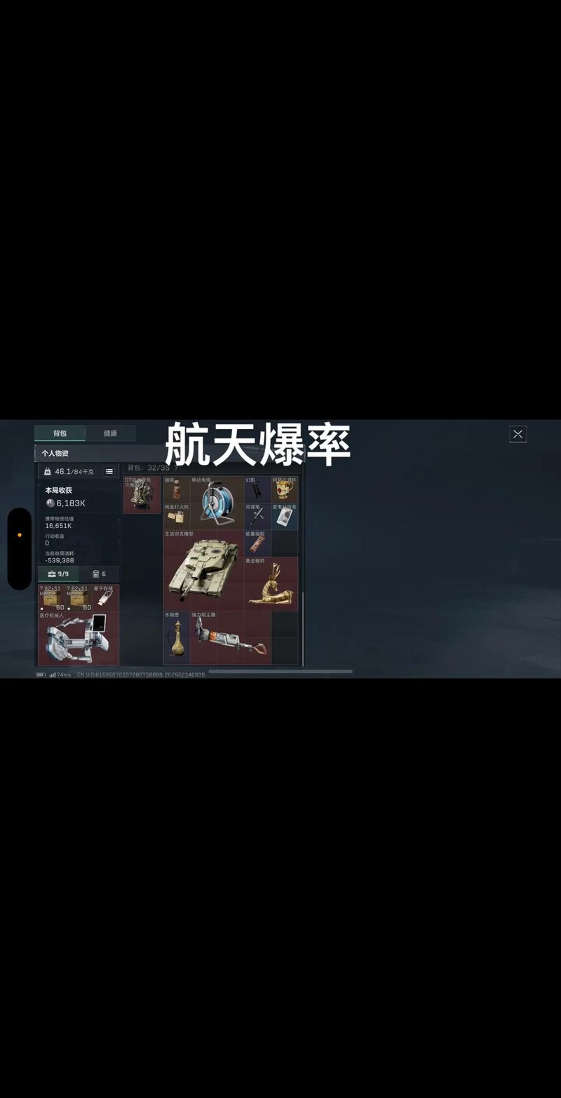 引入恩梅查